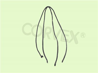 品號:  CV07-R02 ∞  DOOR WHEATHERSTRIP